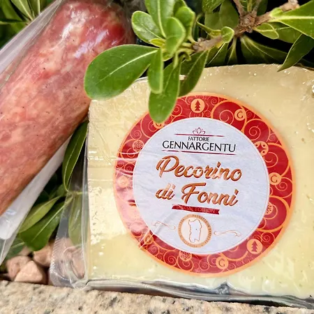 Price Vs Quality - Fully Equipped & Renovated 1br Montenero - Centre Appartement Olbia