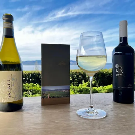 Appartement Price Vs Quality - Fully Equipped & Renovated 1br Montenero - Centre *