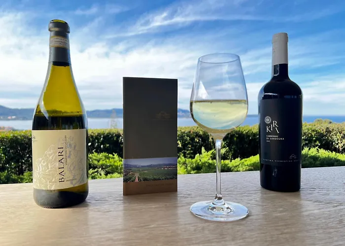 Lägenhet Price Vs Quality - Fully Equipped & Renovated 1br Montenero - Centre *